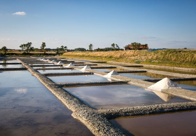 Mobile home à St. Hilaire de Riez - Mobil-Home Parc des Roselières Mobile home à St. Hilaire de Riez - Mobil-Home Parc des Roselières