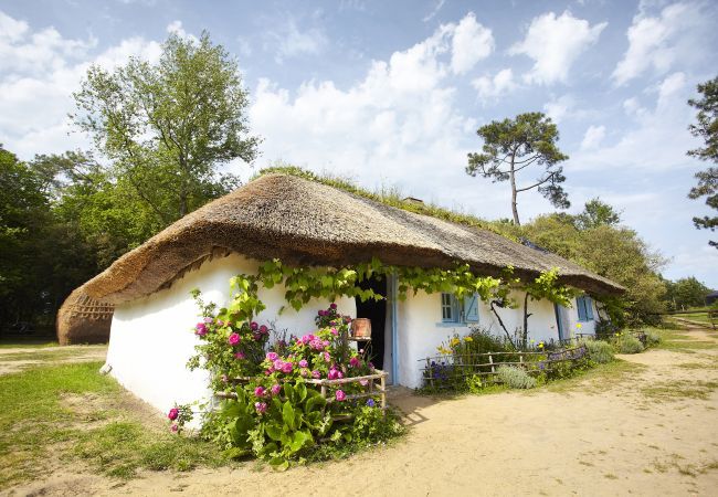 Mobile home à St. Hilaire de Riez - Mobil-Home Parc des Roselières Mobile home à St. Hilaire de Riez - Mobil-Home Parc des Roselières