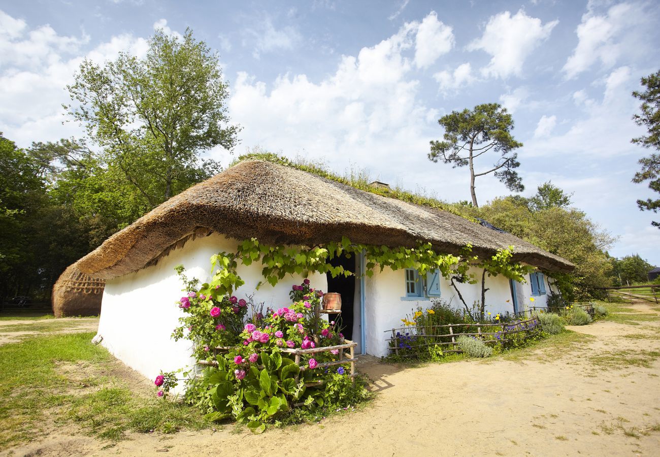 Mobile home à Saint-Hilaire-de-Riez - Parc des Roselières